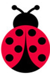 MarienkaeferNeu